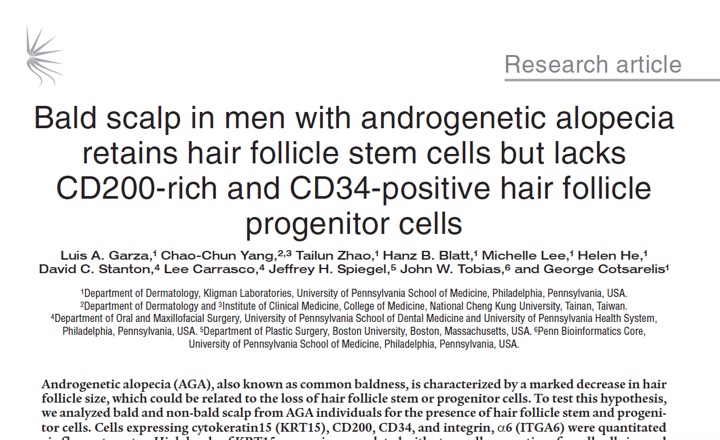 Bald Scalp in Men with Androgenetic Alopecia Retains Hair Follicle Stem Cells...