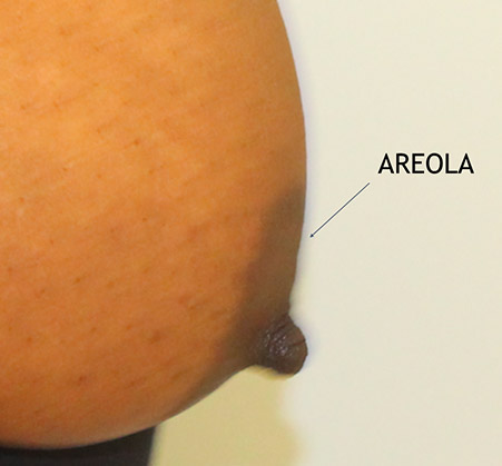 image of an areola