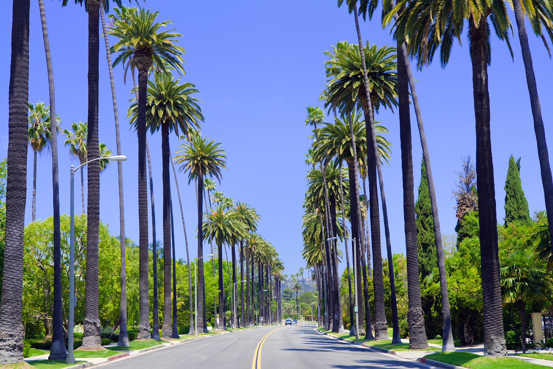 View of street in Beverly Hills